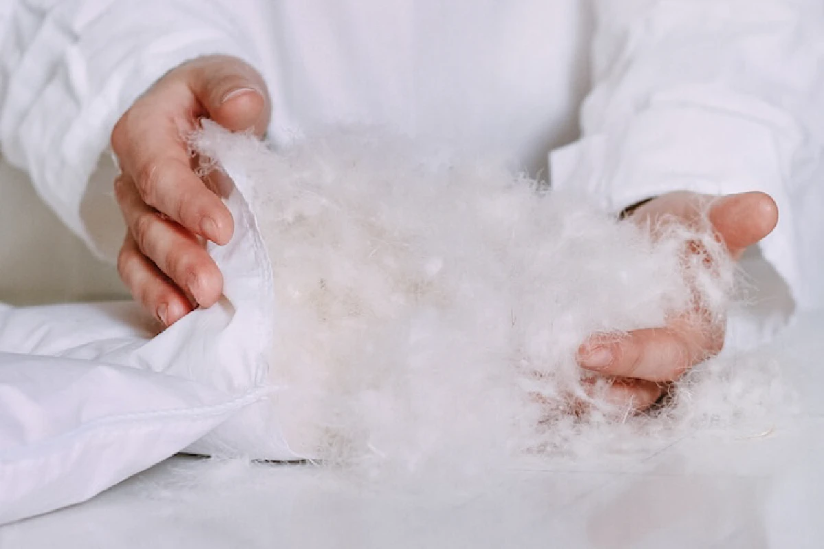 Grootvlokkig dons in handen