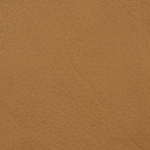 Vita Style + – Mustard 110