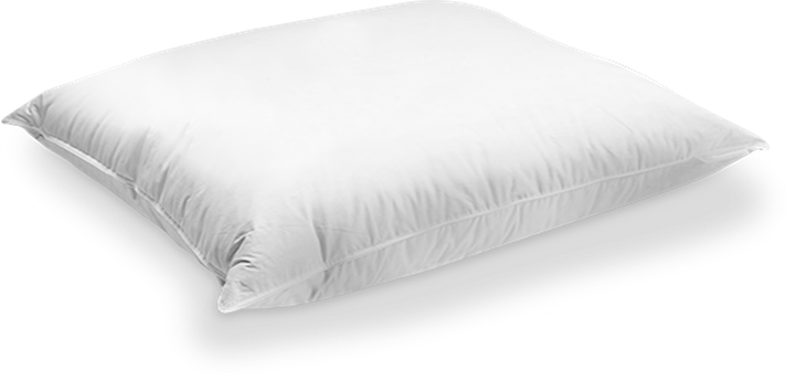 Zijden hoofdkussen Emperior Silk